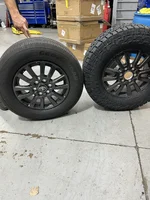 falken.webp