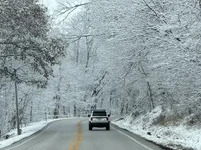 Photo contest thumbnail