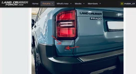 Screenshot Trim and Rear fog light.webp