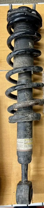 IMG_6397.jpeg