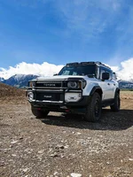 snowmountain (1).webp