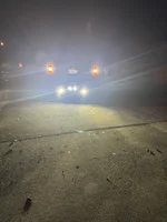 Bacpup lights X4a.webp