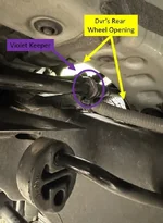 13Violet Keeper Dvr side.webp