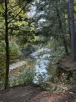 IMG_3202.webp