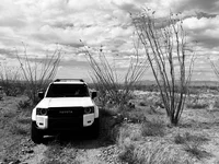 Photo contest thumbnail