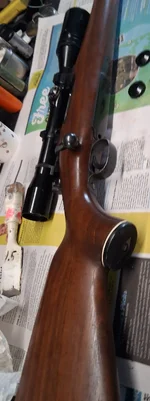 1903 Springfield sport.webp