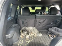 IMG_5919.webp