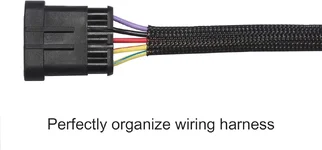 Loom.webp
