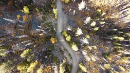dji_fly_20241014_102708_158_1728926868478_photo_optimized.webp