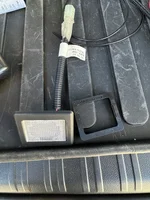 Cargo Light2.webp