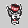 Gopack77