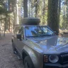 Mule