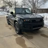 Bucky Badger