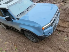 Photo Thread: Land Cruiser Off Road!