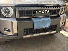 LC250 —— the Front Grill Bug Screen