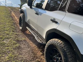 Predator door steps on LC250?
