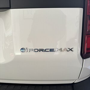 IMG_1956.jpeg