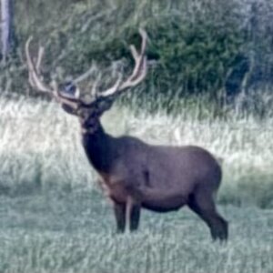 IMG_0332.jpeg