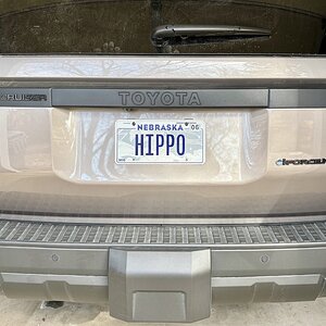 IMG_3789.jpeg