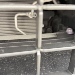 IMG_0143.jpeg
