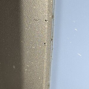 IMG_0883.jpeg