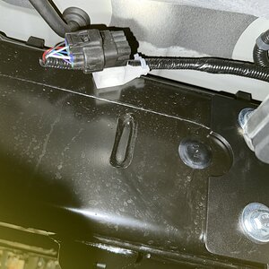 IMG_4039.jpeg