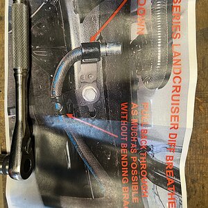 IMG_4582.jpeg