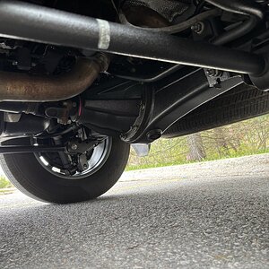 IMG_3894.jpeg