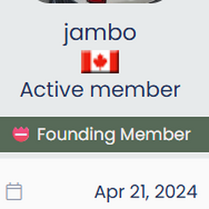 1747169294685.png