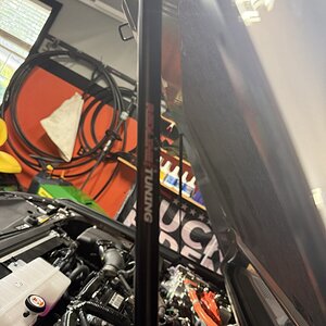IMG_2989.jpeg