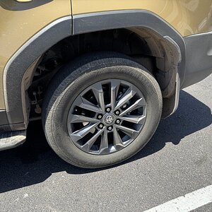 IMG_4325.jpeg