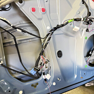 IMG_6874_LC-NVX.jpg