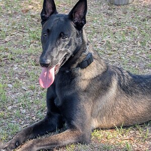 blu 11.5 months.jpg