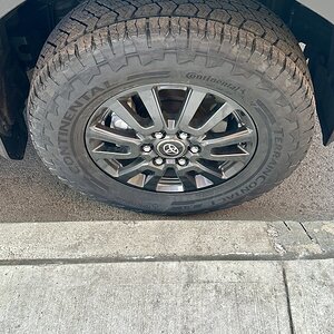 IMG_1515.jpeg