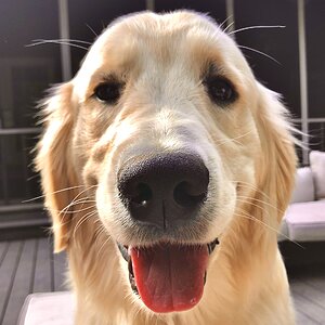 IMG_4736.jpeg