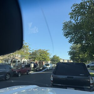 IMG_7982.jpeg