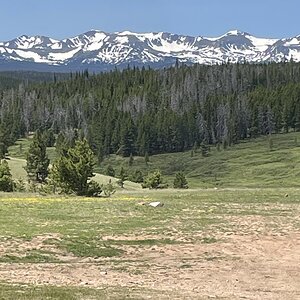 IMG_4291.jpeg