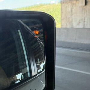IMG_3703.jpeg