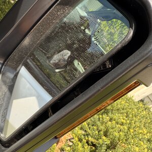 IMG_6981.jpeg