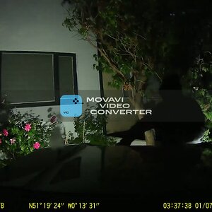 TRIAL____________2.mp4