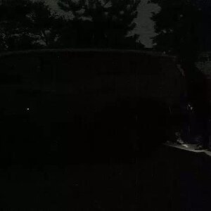 WhatsApp Video 2025-07-01 at 05.45.28.mp4