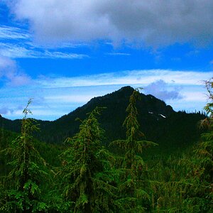 PICT3254.JPG