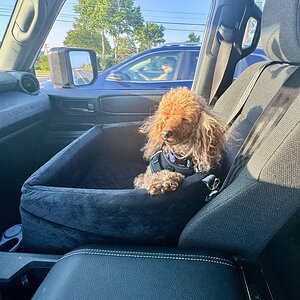 IMG_3244.jpeg