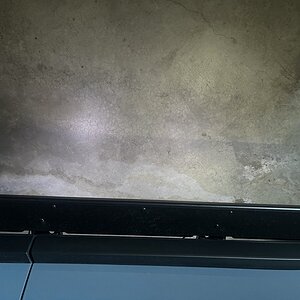 IMG_4690.jpeg