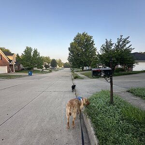 IMG_5348.jpeg