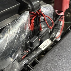 IMG_1500.jpeg