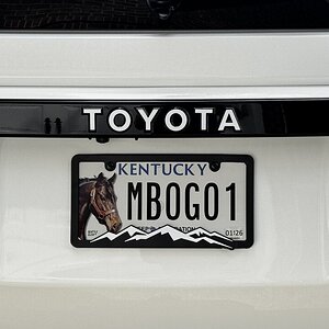 IMG_1380.jpeg