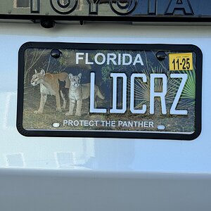 IMG_2597.jpeg