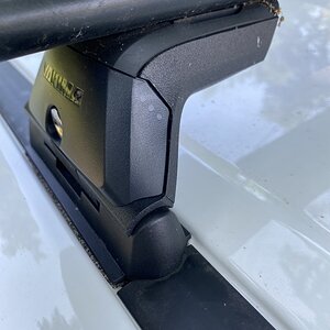 IMG_9613.jpeg