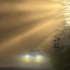 IMG_1166.jpeg
